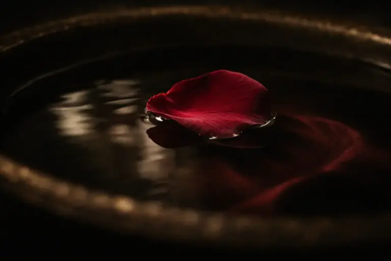 Weibliche Energie in Beziehungen: Was du wissen solltest Rotes Rosenblatt auf dunkler Wasseroberfläche – Blogartikel über weibliche Energie und Liebesglück