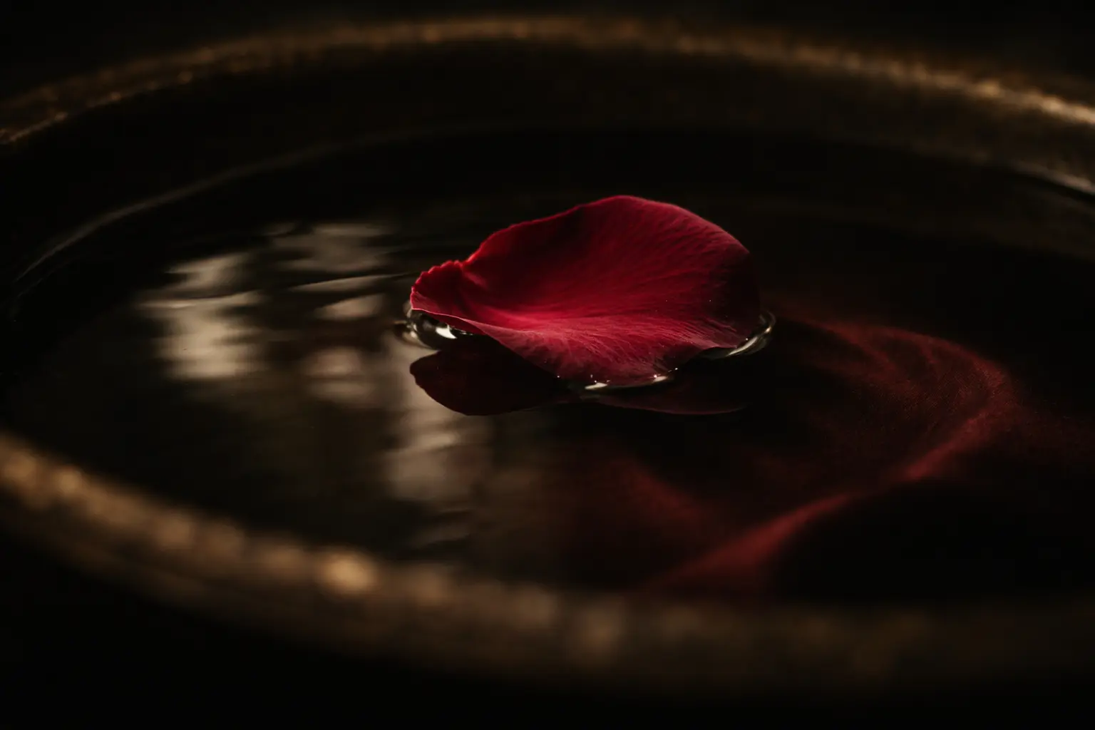 Rotes Rosenblatt auf dunkler Wasseroberfläche – Blogartikel über weibliche Energie und Liebesglück